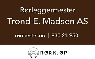 Trond E. Madsen Logo